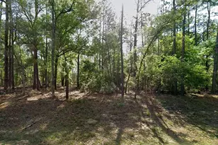 8319 N Yellowbird Ave, Citrus Springs, FL 34434 - Photo 1