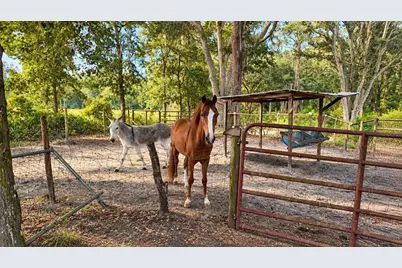 1735 Oakland Road E, Lakeland, FL 33801 - Photo 5