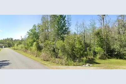 26611 C C Lane, Wesley Chapel, FL 33544 - Photo 1