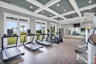 3168 Canna Lily Pl, Clermont, FL 34711 - Photo 51
