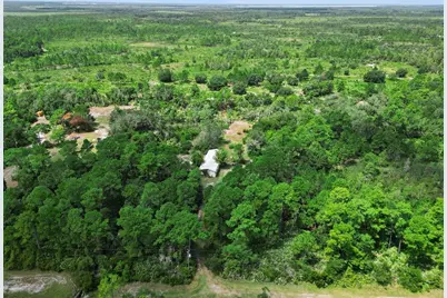 680 Wild Acres Road, Osteen, FL 32764 - Photo 43