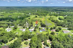 3934 Burkholm Rd, Mims, FL 32754 - Photo 73