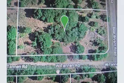 3300 W Tannen Road, Avon Park, FL 33825 - Photo 3