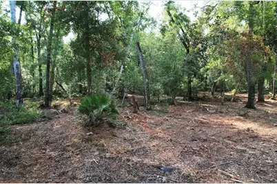 Ne 497th Street, Old Town, FL 32680 - Photo 5