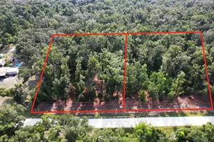 NE 497th St, Old Town, FL 32680 - Photo 1