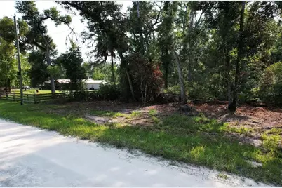 Ne 497th Street, Old Town, FL 32680 - Photo 3