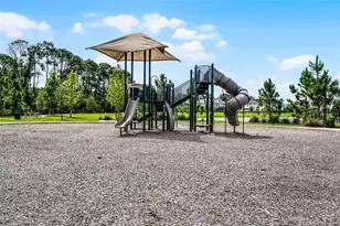 17418 Honeybell Tangelo Ct, Winter Garden, FL 34787 - Photo 33