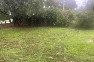 33855 Mandrake Rd, Wesley Chapel, FL 33543 - Photo 1