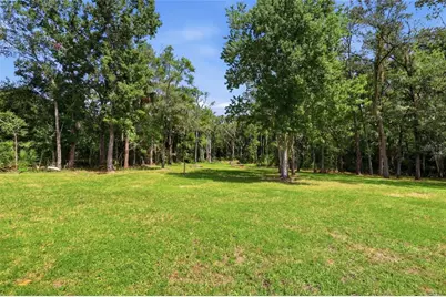 16111 Sunflower Trail, Orlando, FL 32828 - Photo 23