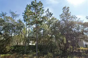 1626 Pilchard Ct, Poinciana, FL 34759 - Photo 1