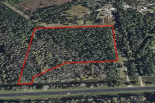000 S US Hwy 17 Hwy, Pierson, FL 32180 - Photo 1