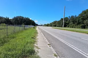 438 N State Road 415, Osteen, FL 32764 - Photo 5