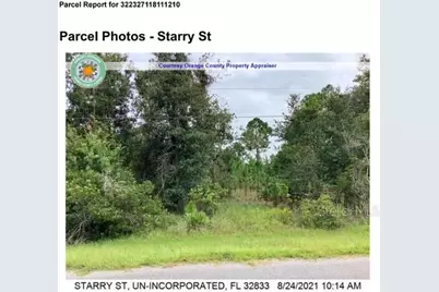 Starry St, Orlando, FL 32833 - Photo 3