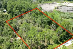 5669 Mango Ave, Bunnell, FL 32110 - Photo 1