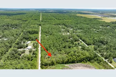 5669 Mango Avenue, Bunnell, FL 32110 - Photo 9