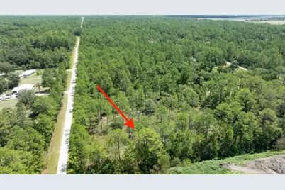 5669 Mango Avenue, Bunnell, FL 32110 - Photo 5
