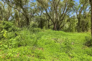 3030 SE Hwy 31, Arcadia, FL 34266 - Photo 53