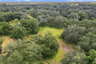 3030 SE Hwy 31, Arcadia, FL 34266 - Photo 43