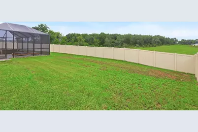 806 Creeping Fig Street, Apopka, FL 32703 - Photo 51