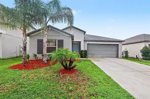 13224 Wildflower Meadow Dr, Riverview, FL 33579 - Photo 1