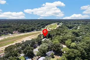 25717 Troon Ave, Sorrento, FL 32776 - Photo 43