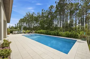 18330 Serene Lake Loop, Lutz, FL 33548 - Photo 39
