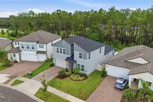 18330 Serene Lake Loop, Lutz, FL 33548 - Photo 41