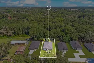 427 E 13th St, Apopka, FL 32703 - Photo 41