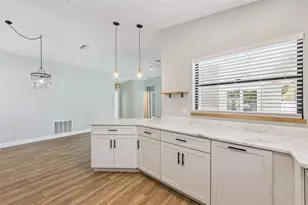 1004 Vineyard Ct, Dunedin, FL 34698 - Photo 13