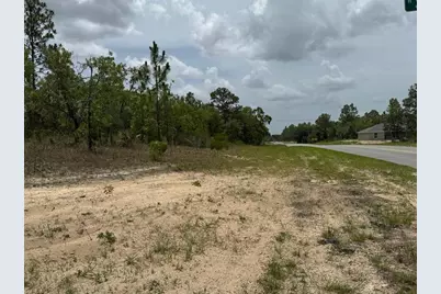 2765 W Sheila Drive, Citrus Springs, FL 34433 - Photo 3