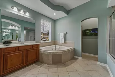 5252 Brighton Shore Drive, Apollo Beach, FL 33572 - Photo 33