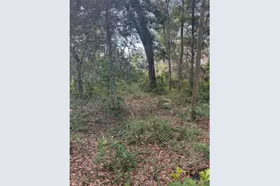 5612 E Highway 316, Citra, FL 32113 - Photo 7