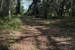 5612 E Hwy 316, Citra, FL 32113 - Photo 1