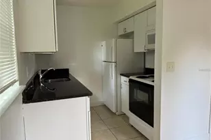 2416 S Mayer Ave, Orlando, FL 32806 - Photo 3