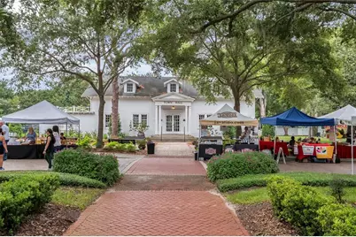 905 Main Street, Windermere, FL 34786 - Photo 39
