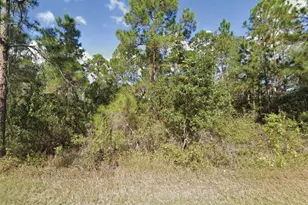 203 Gardenia Dr, Indian Lake Estates, FL 33855 - Photo 1
