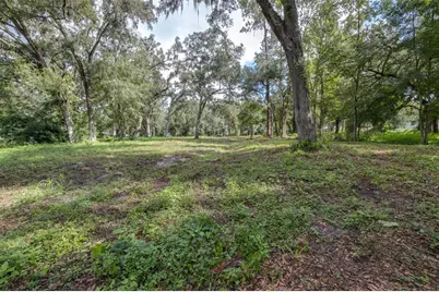 0 SE 124th Avenue, Webster, FL 33597 - Photo 1