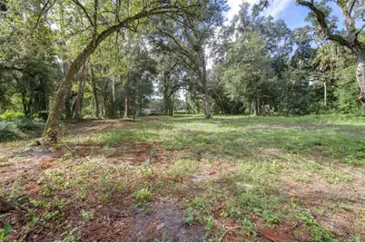 0 SE 124th Avenue, Webster, FL 33597 - Photo 3