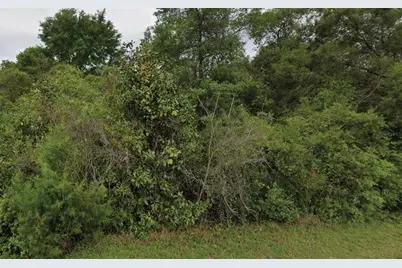 Ne 236th Lane, Fort Mc Coy, FL 32134 - Photo 1