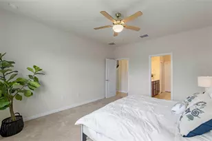 17319 Million Lks Ct, Clermont, FL 34714 - Photo 17