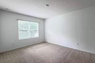 3741 Crimson Clover Dr, Mount Dora, FL 32757 - Photo 15