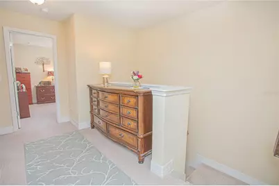 10520 Burrows Street, Orlando, FL 32832 - Photo 19