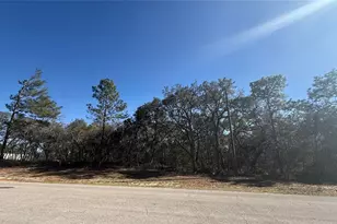 Lot 11 Marion Oaks Pass, Ocala, FL 34473 - Photo 1