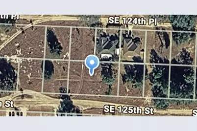 Se 125th Street, Belleview, FL 34420 - Photo 3