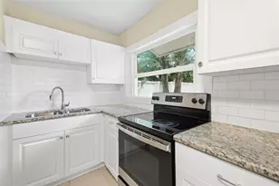 4209 N Downing Ave, Tampa, FL 33603 - Photo 19
