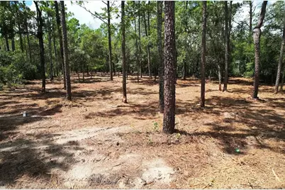 Sw 183rd Terrace, Dunnellon, FL 34432 - Photo 3