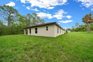 11041 Spoonbill Rd, Weeki Wachee, FL 34613 - Photo 59