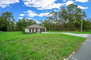 11041 Spoonbill Rd, Weeki Wachee, FL 34613 - Photo 9