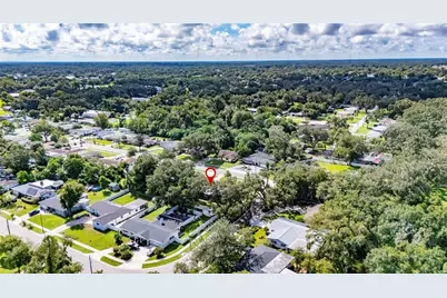 506 S Larry Circle, Brandon, FL 33511 - Photo 61