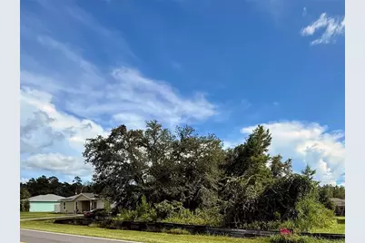 Marion Oaks Manor, Ocala, FL 34473 - Photo 3